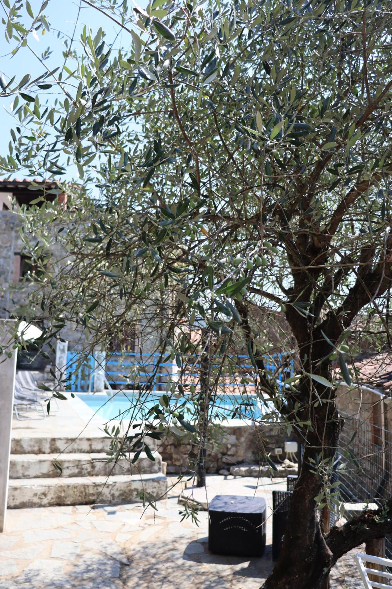 Carpe Diem Colognora Villa Vetriano Buitenkant foto