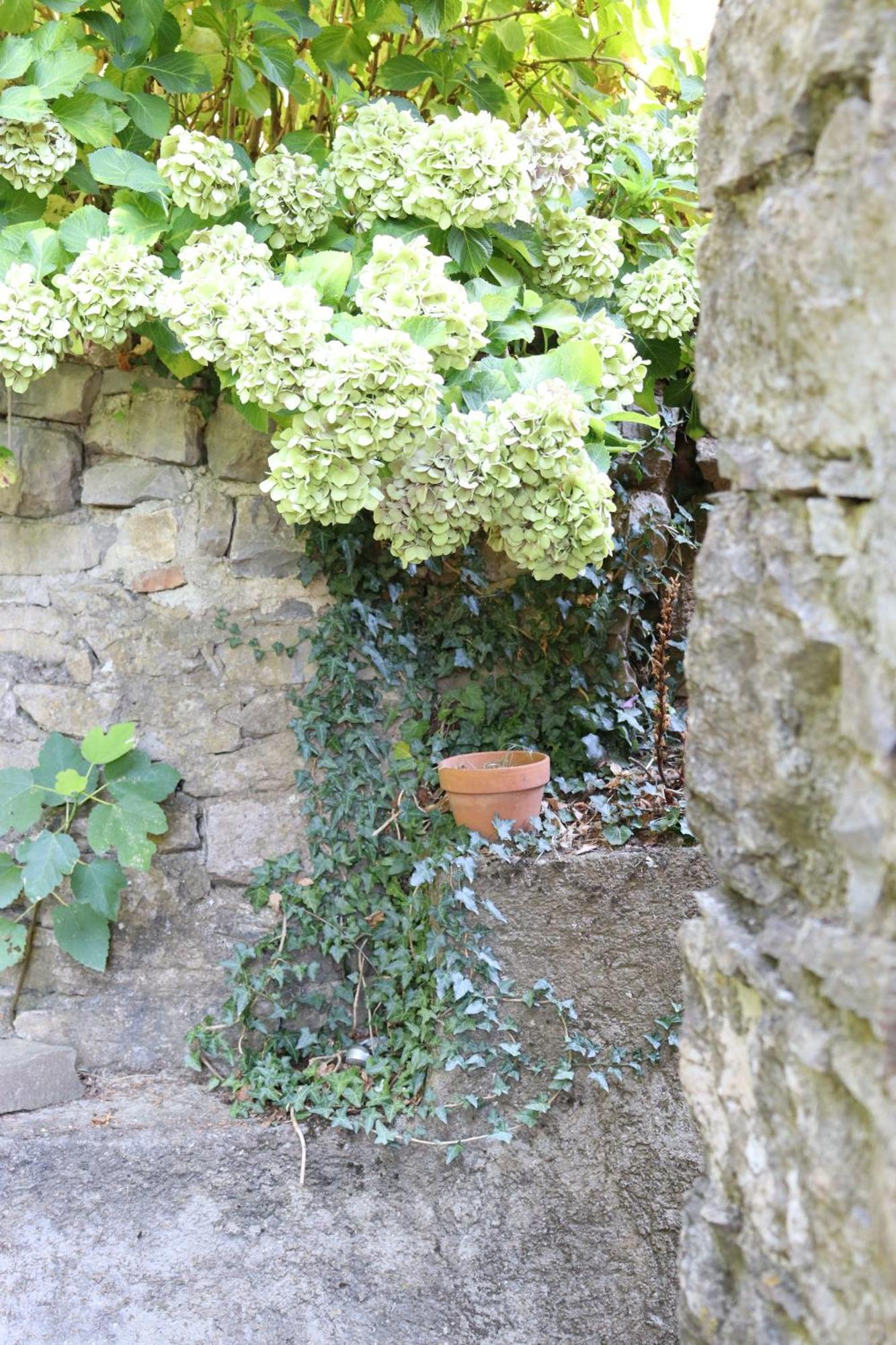 Carpe Diem Colognora Villa Vetriano Buitenkant foto