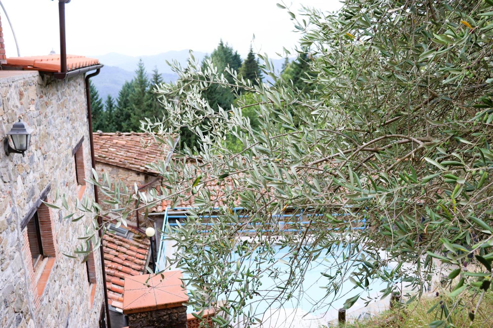 Carpe Diem Colognora Villa Vetriano Buitenkant foto