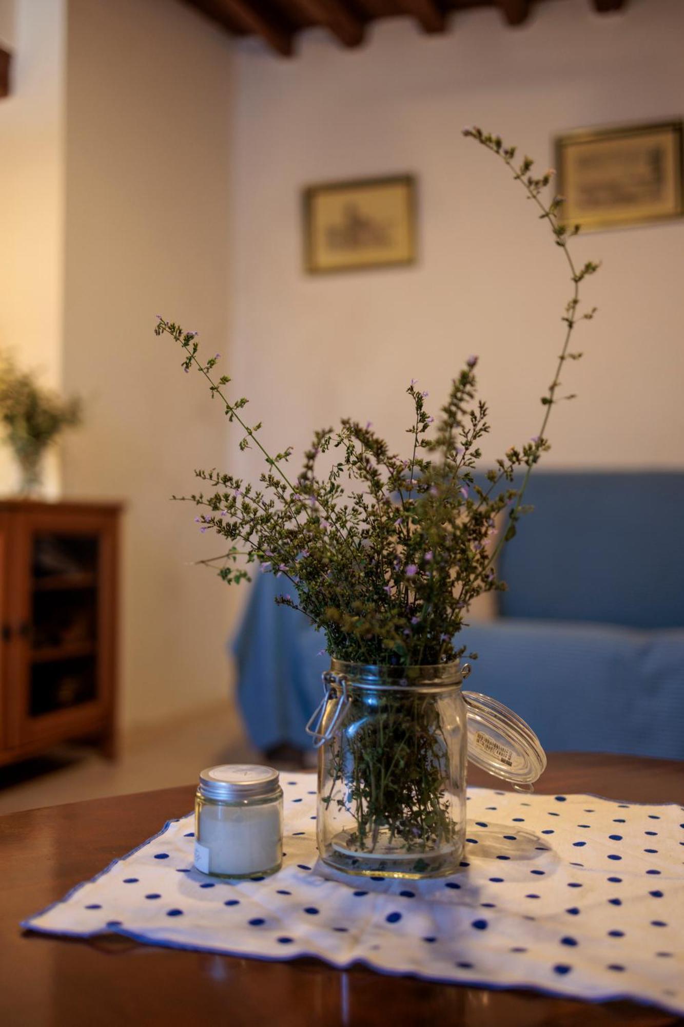Carpe Diem Colognora Villa Vetriano Buitenkant foto